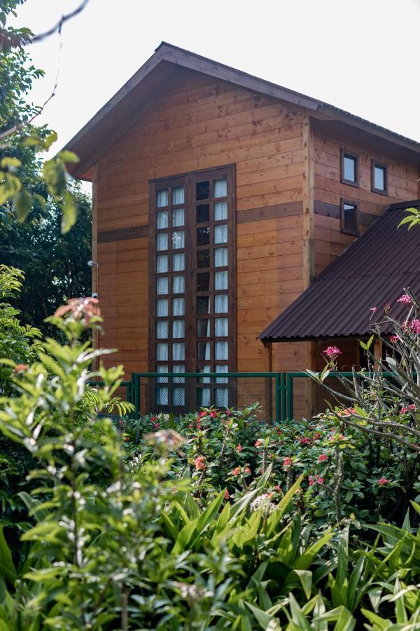 Вилла The Pine Loft Бангалор Экстерьер фото